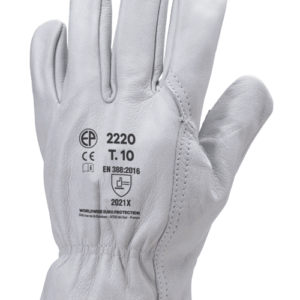 Coverguard-MO2220-BŐRKESZTYŰ