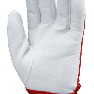 Coverguard-1DRI840-BŐRKESZTYŰ